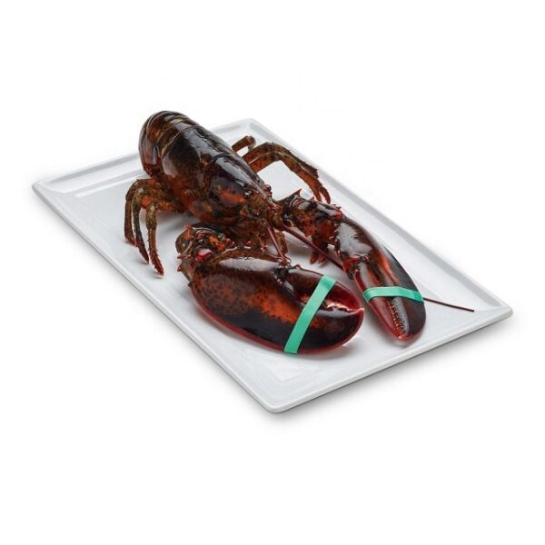 Frozen Lobster