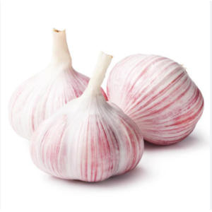 Fresh Garlic