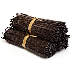 Vanilla Beans
