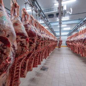 FROZEN BEEF