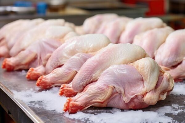 FROZEN CHICKEN, CHICKEN FEET AND PAWS