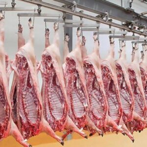 FROZEN PORK MEAT & PARTS